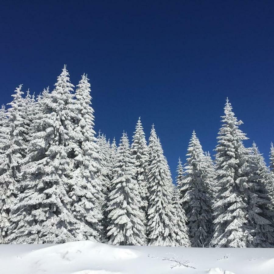 Apartmani Nicole Kopaonik Extérieur photo